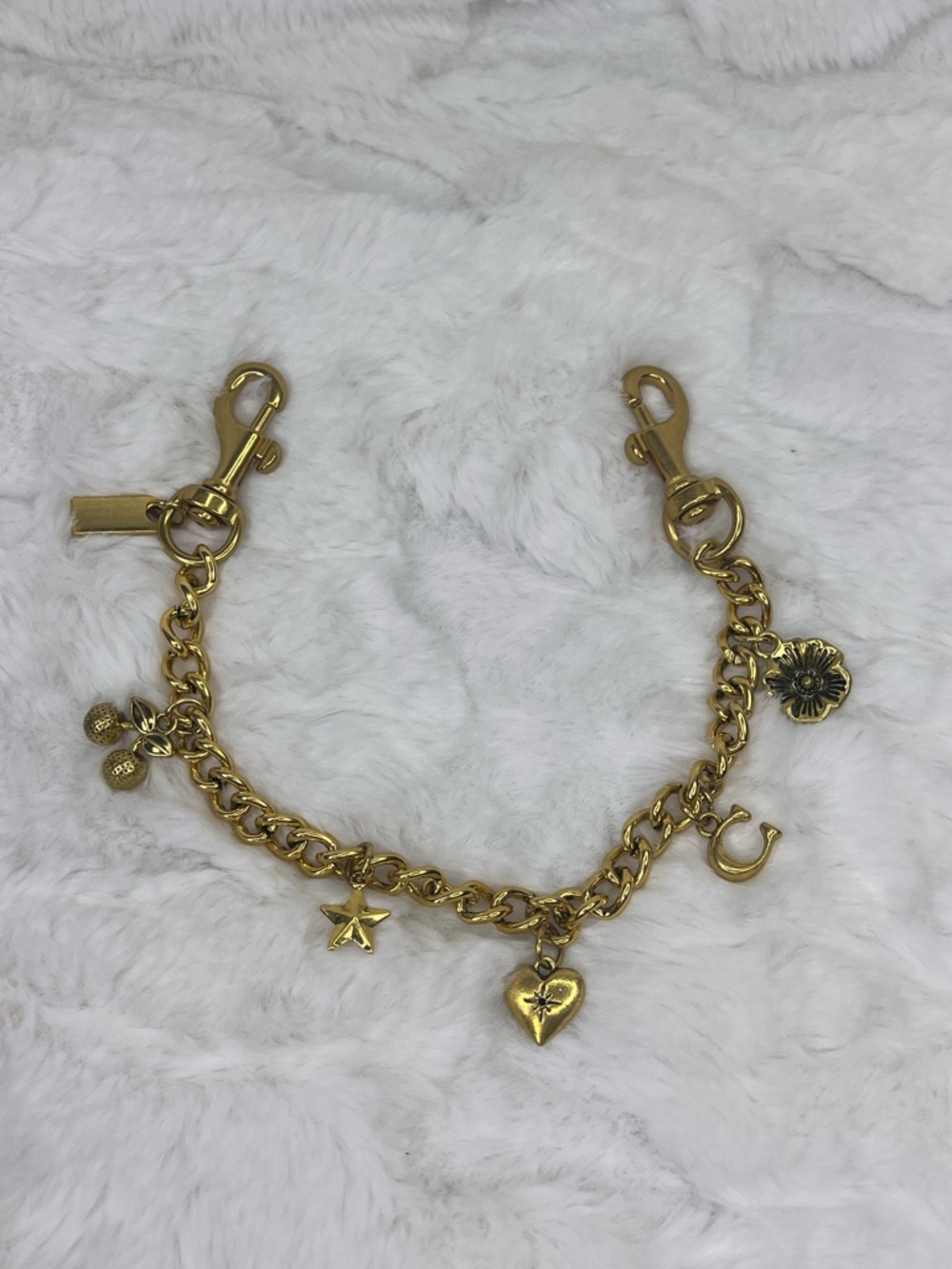Gold Coach Chain